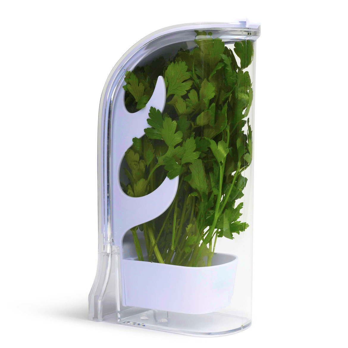 Kitchen Gadgets Modern - Herb Crisper Saver Container Refrigerator Side