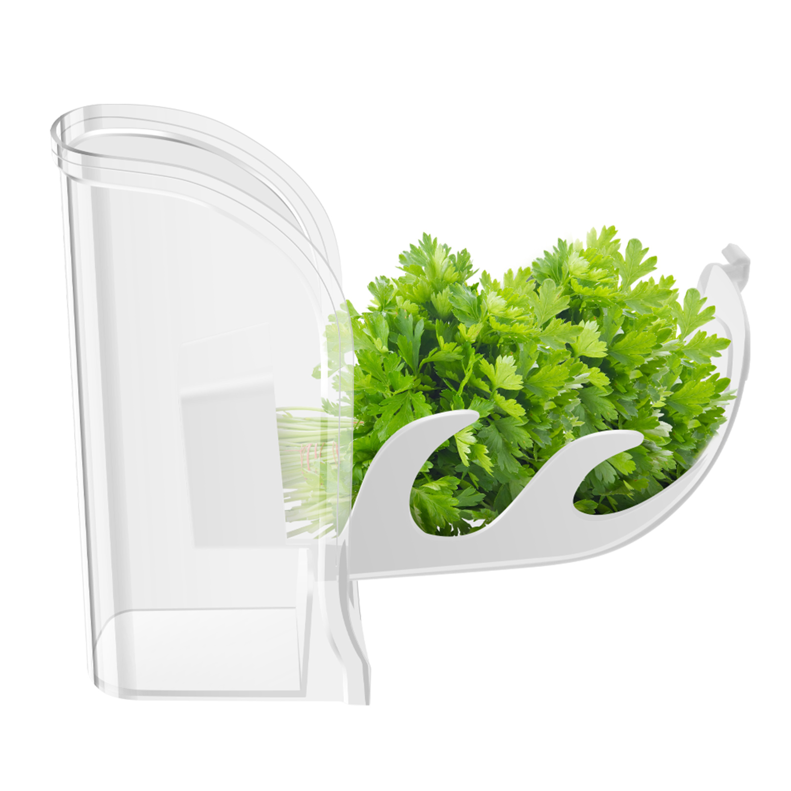 Herb Crisper Saver Container R - đánh giá và giá Kitchen Gadgets Modern