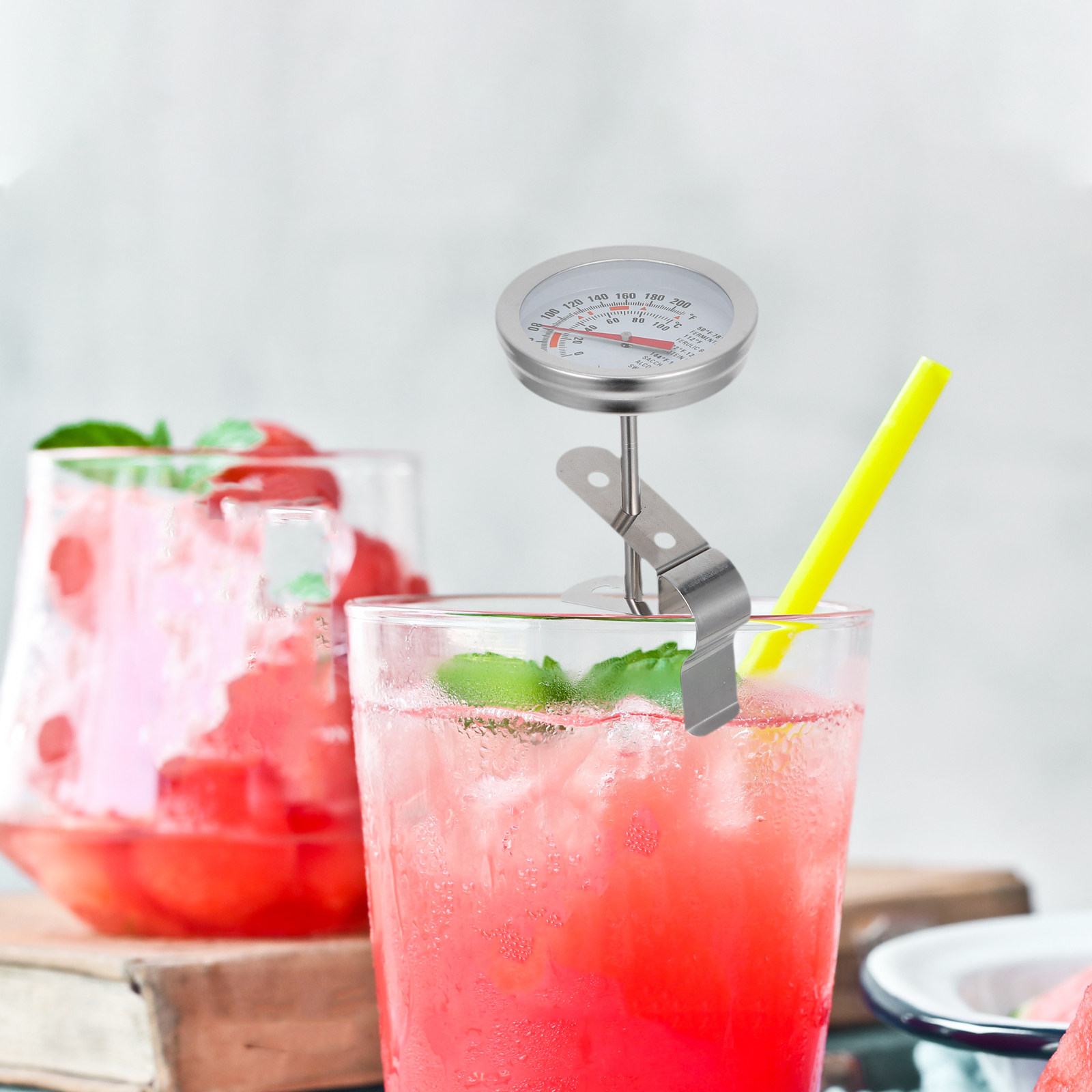 Detachable 304 Stainless Steel - đánh giá và giá Instant Read Thermometer
