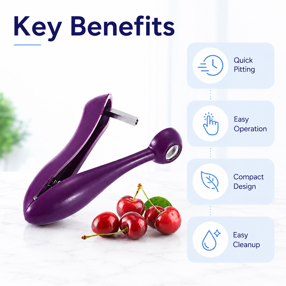 Cherry Kernel Remover Handheld - đánh giá và giá Cherry Pitter Tool